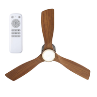 Fan with Light